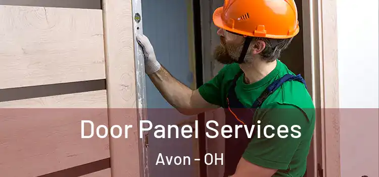Door Panel Services Avon - OH